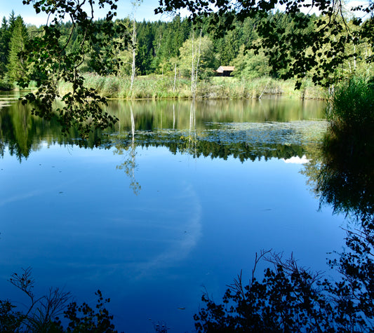 Etang des bugnons 2