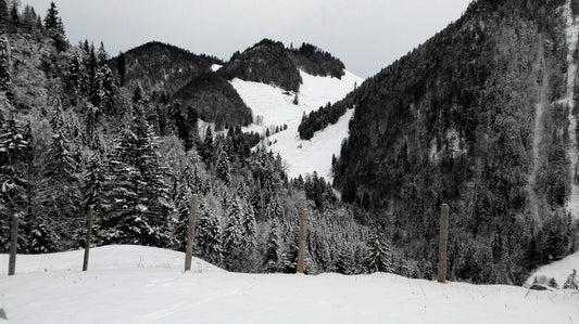 col, forcla, gruyère, montagne, neige, paysage, nature, photographie, noir et blanc, sapins, randonnée